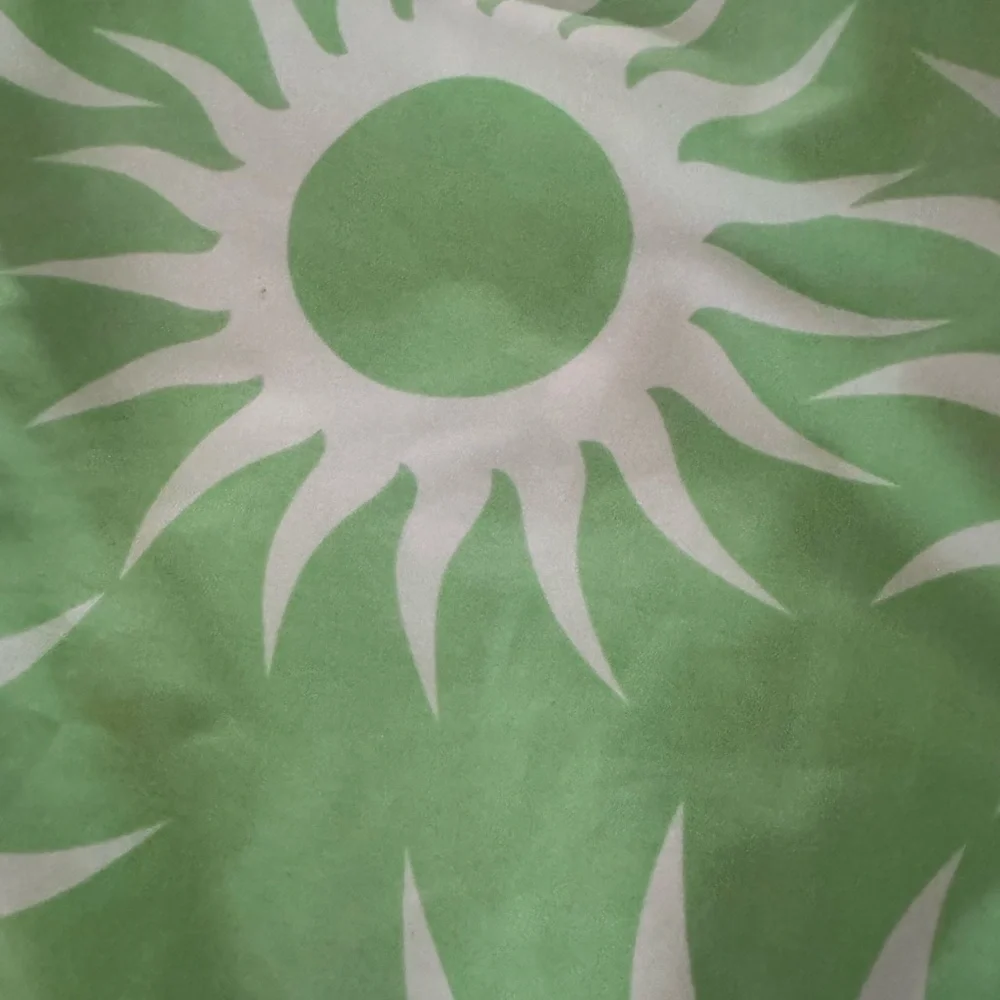 ISLAND COMPANY Board Shorts Men’s SZ 34 Green Drawstring Pockets Swimwear EUC